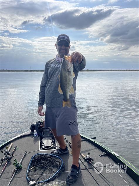bethulu fish|bethel island fishing.